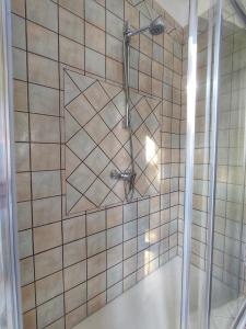 a shower in a bathroom with a tiled wall at La Tomatica In Commedia in Mongardino