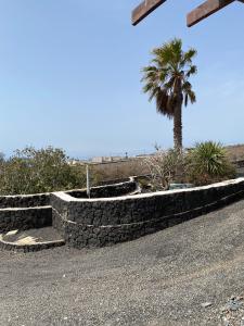 a stone retaining wall with a palm tree in the background at Buena Vista, Sea View Apto de Oasis Vasiliko , La Asomada in Tías