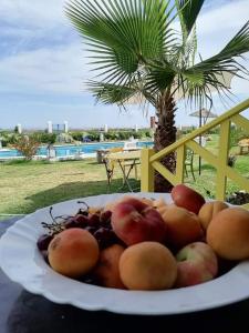 une assiette de fruits sur une table avec un palmier dans l'établissement Chalet Jaune Diar Mammoura, à Nabeul