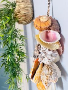 莱瑟姆-圣安妮Seaside Seashell Suite的挂在墙上的一组贝壳饰品