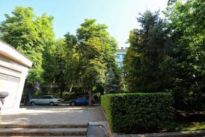 a group of trees and cars parked in a parking lot at Beautiful location apartment in Sofia