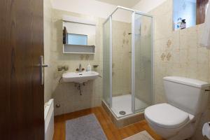 un bagno con doccia, WC e lavandino di Osteria Pozzo a Locarno