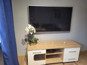 Televízia a/alebo spoločenská miestnosť v ubytovaní Apertament JOWISZ