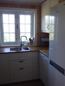 a kitchen with a sink and two windows at Ny hytte i flott turterreng in Nore +5 photos
