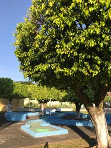 a park with a large tree and a skate park at Paraíso Familiar in Jiutepec
