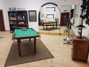 威尼斯Sarlette Cozy Room的一间设有一张位于地毯上的台球桌的房间