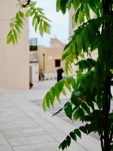 un albero con foglie verdi di fronte a un edificio di Il Ciclope - La camera sotto il faro a Termoli