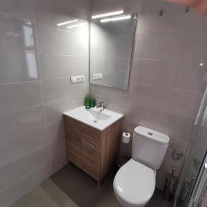 a bathroom with a toilet and a sink and a mirror at La Peluquería!! in Ronda