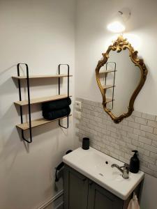 a bathroom with a sink and a mirror on the wall at Agréable studio de l'Arsault avec parking in Périgueux
