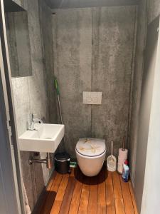 een badkamer met een toilet en een wastafel bij Bulle du puits avec jacuzzi et sauna privatif 
