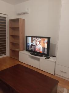 TV a/nebo společenská místnost v ubytování Stan na dan Bulevar-Studio apartman