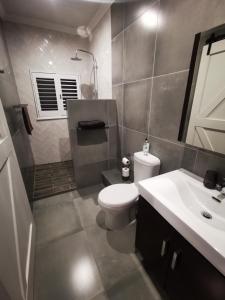 a bathroom with a toilet and a sink at 10 Jock Meiring Guesthouse Unit 3 in Bloemfontein