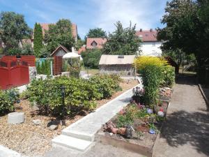 a garden with plants and flowers in a yard at Ochsenhof in Feuchtwangen