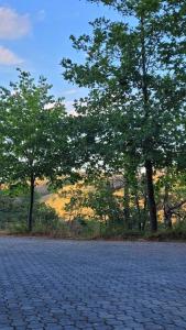 a cobblestone street with trees in the background at Apartman Kata in Zlatibor