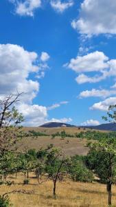 a field with trees and a blue sky with clouds at Apartman Kata in Zlatibor +10 photos