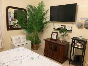 TV a/nebo společenská místnost v ubytování cozy & spacious condo 10min walk to beach