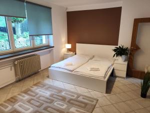 1 dormitorio con cama, espejo y ventanas en Vila Prag, en Praga
