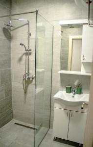 a bathroom with a shower and a sink at Central park in Vrdnik