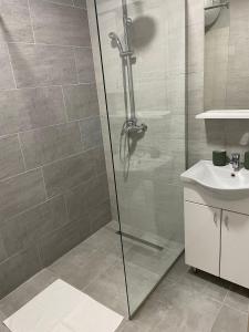 a bathroom with a shower and a sink at Central park in Vrdnik +31 photos
