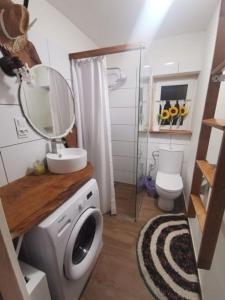 uma casa de banho com um lavatório e uma máquina de lavar roupa em Przystan Ramotowo em Lidzbark Warminski