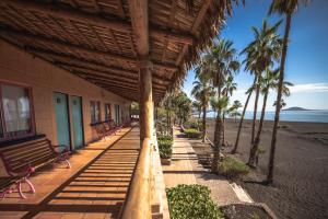 un edificio en la playa con bancos y palmeras en Hotel Oasis en Loreto