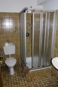 a bathroom with a toilet and a shower and a sink at Gasthaus Zum Hohenstein in Ober-Kainsbach