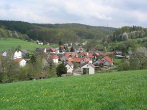 a town on a hill with a green field at Gasthaus Zum Hohenstein in Ober-Kainsbach