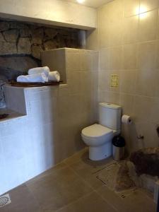 a bathroom with a toilet and a stone wall at La Roca Studio 7 in Praia do Rosa