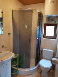 a bathroom with a shower and a toilet and a sink at Ala i Tomek domki in Łeba