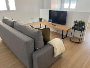 TV a/nebo společenská místnost v ubytování Spacious Loft, Parking Free M