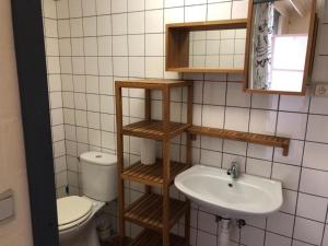 ein Badezimmer mit Toilette und Waschbecken in der Unterkunft Hengelhoef Acacia 3 in Drijhoeven