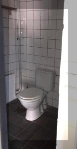 ein Bad mit einem weißen WC in einem gefliesten Zimmer in der Unterkunft Hengelhoef Acacia 3 in Drijhoeven