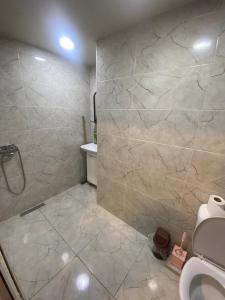 a bathroom with a shower and a sink and a toilet at Appartement Varketili in Tbilisi City