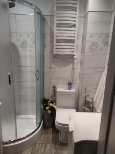 コウォブジェクにあるBoguszのバスルーム(シャワー、トイレ、シンク付)