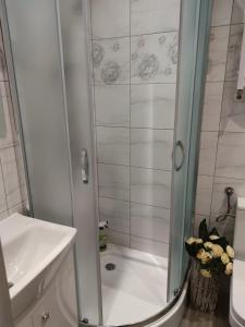 コウォブジェクにあるBoguszのバスルーム(ガラスドア付きのシャワー付)