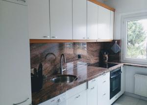 Kuchyň nebo kuchyňský kout v ubytování Alpine Apartment