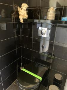 a black tiled bathroom with a toilet with a green seat at La Maison d’Isabel in Montauban +40 photos