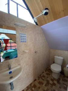 a bathroom with a sink and a toilet and a mirror at Hospedaje Villa Rosita Suesca in Suesca