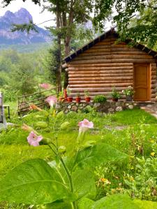 a log cabin with pink flowers in front of it at Guest house Hyrmet Demushi in Valbonë