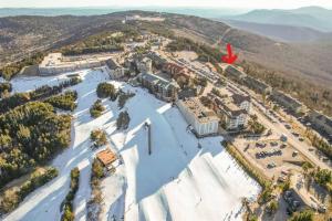 Gallery image of Summit 204D at Snowshoe in Snowshoe