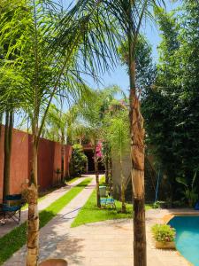 ogród z basenem i palmami w obiekcie Villa Aïcha w Marakeszu