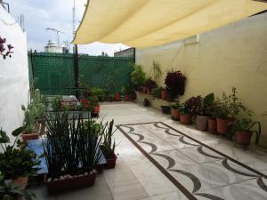Texcoco de MoraにあるHermoso Departamento en Texcoco centro con wifi cocinaの鉢植えの植物と傘が備わるパティオ