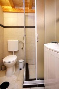 ein Bad mit einer Dusche, einem WC und einem Waschbecken in der Unterkunft Seaside holiday house Grscica, Korcula - 10059 in Prizba