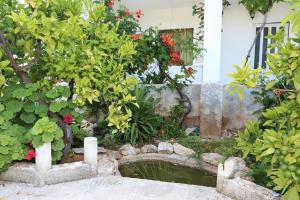 Fotografie z fotogalerie ubytování Apartments by the sea Poljica, Trogir - 10237 v destinaci Marina
