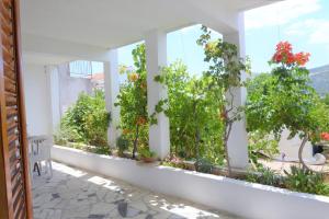 Fotografie z fotogalerie ubytování Apartments by the sea Poljica, Trogir - 10237 v destinaci Marina