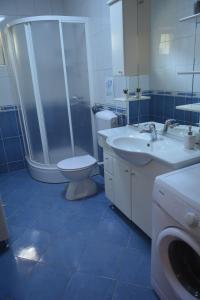 a bathroom with a toilet and a sink and a shower at Apartments by the sea Brna, Korcula - 10065 in Brna