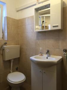 a bathroom with a toilet and a sink and a mirror at Apartment Zuljana 10112a in Žuljana