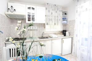 Kuchyň nebo kuchyňský kout v ubytování Apartments by the sea Vinisce, Trogir - 10241