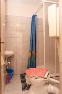 ジュリャナにあるApartments by the sea Zuljana, Peljesac - 10218のトイレとシャワー付きのバスルーム