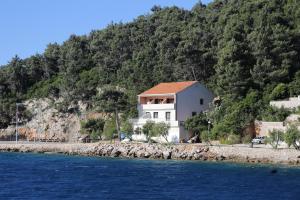 Fotografie z fotogalerie ubytování Apartments by the sea Trstenik, Peljesac - 10110 v Trsteniku